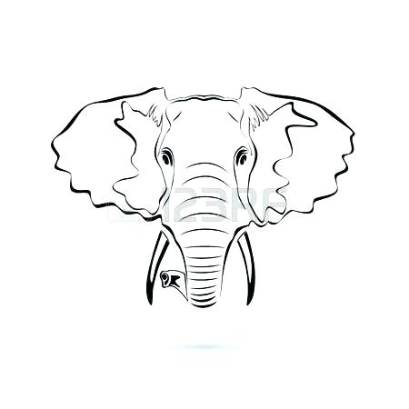 Featured image of post Cartoon Elephant Face Images free for commercial use high quality images