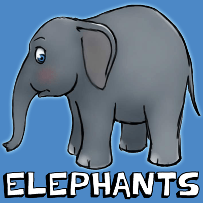 400x400 How To Draw Cartoon Elephants With Easy Steps Drawing Lesson - Elephant Cartoon Drawing