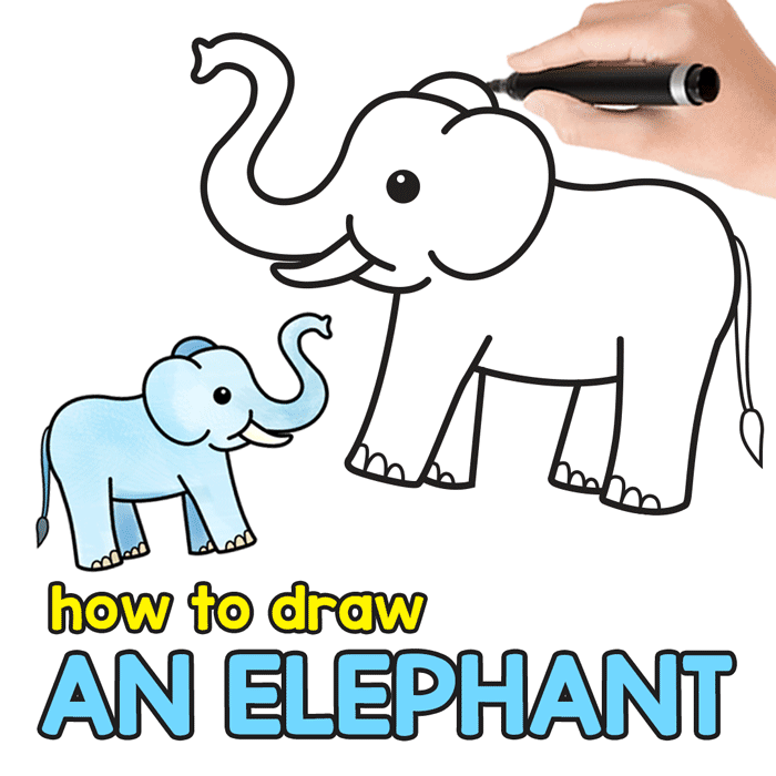 700x700 How To Draw An Elephant - Elephant Cartoon Drawing
