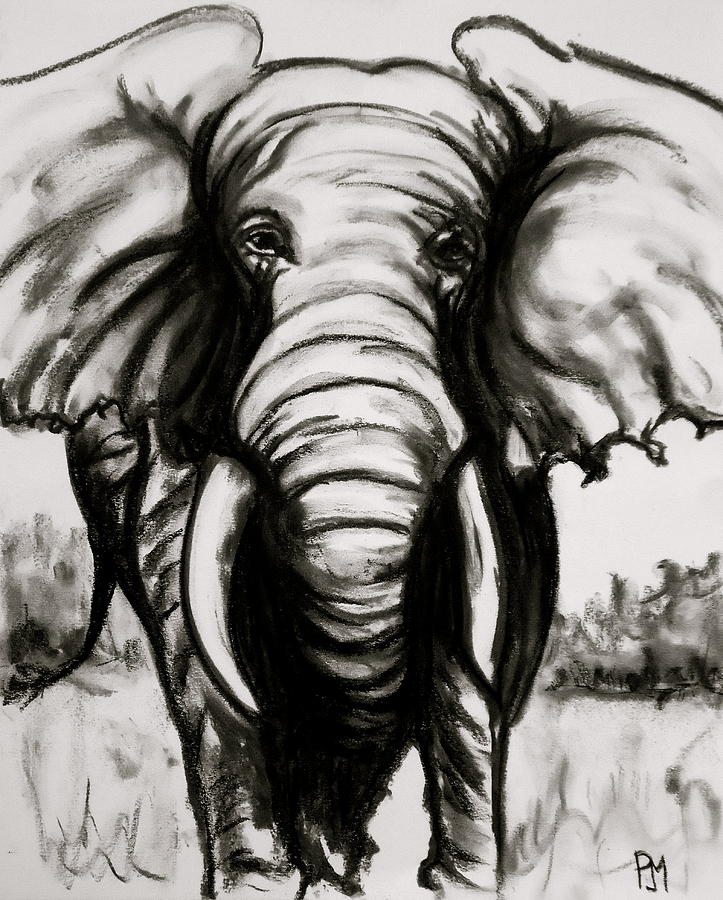 723x900 Charcoal Elephant Drawings Fine Art America - Elephant Charcoal Drawing
