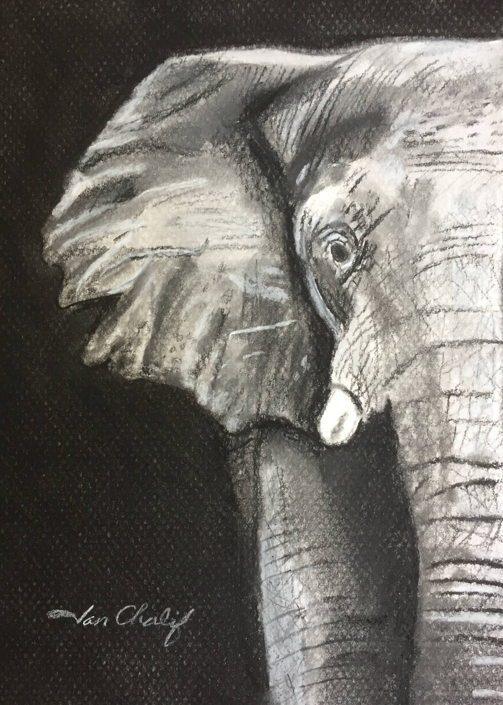 1920x2691 Elephant Drawing - Elephant Charcoal Drawing