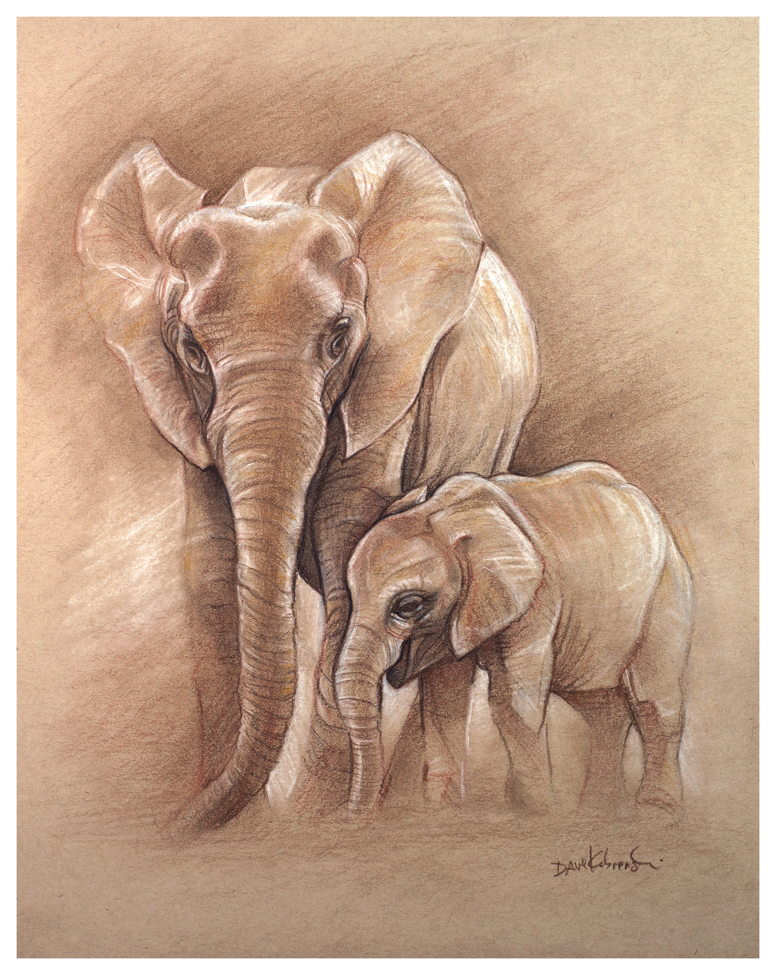 1511x1900 Elephants Spirit Animals Wild Places Drawing - Elephant Charcoal Drawing