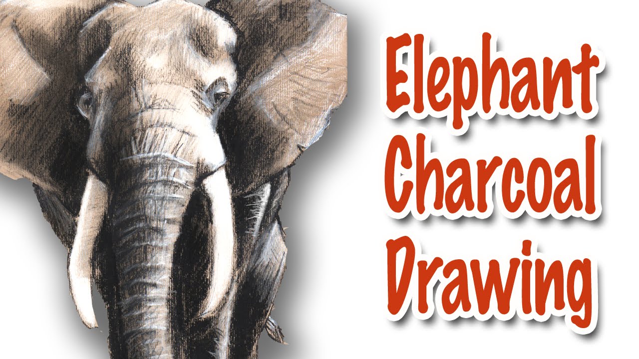 1280x720 How To Draw An Elephant Using Charcoal - Elephant Charcoal Drawing