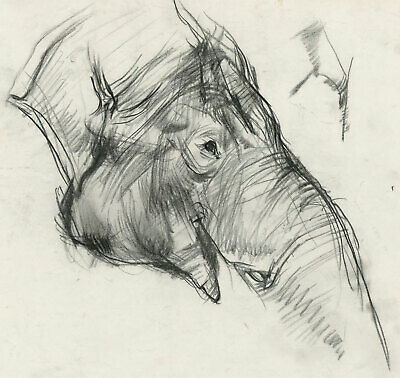 400x378 Brian Liddle - Elephant Charcoal Drawing
