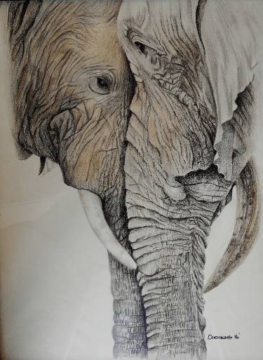 375x513 Elephant Lovers Drawing - Elephant Drawing