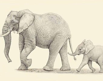 340x270 Elephant Drawing Etsy - Elephant Drawing