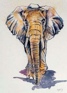 236x326 Best Elephant Drawings Images Elephant Illustration - Elephant Drawing