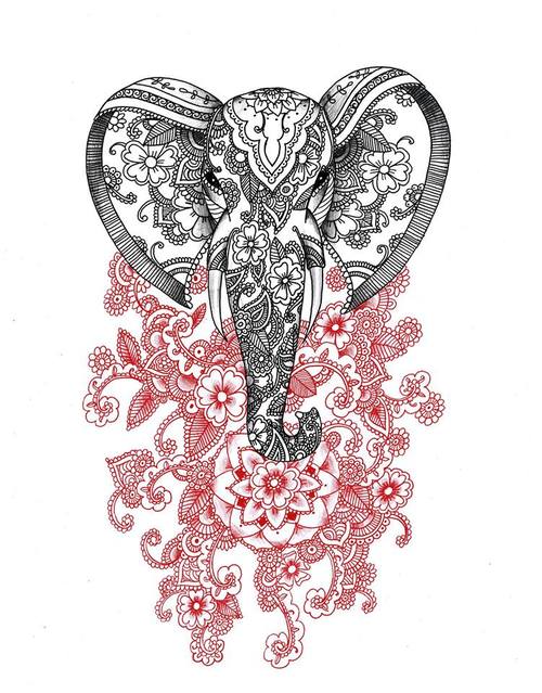 500x639 Drawing Art - Elephant Drawing Art