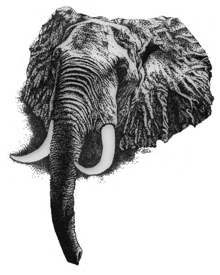 722x900 Elephant Drawing - Elephant Drawing Art
