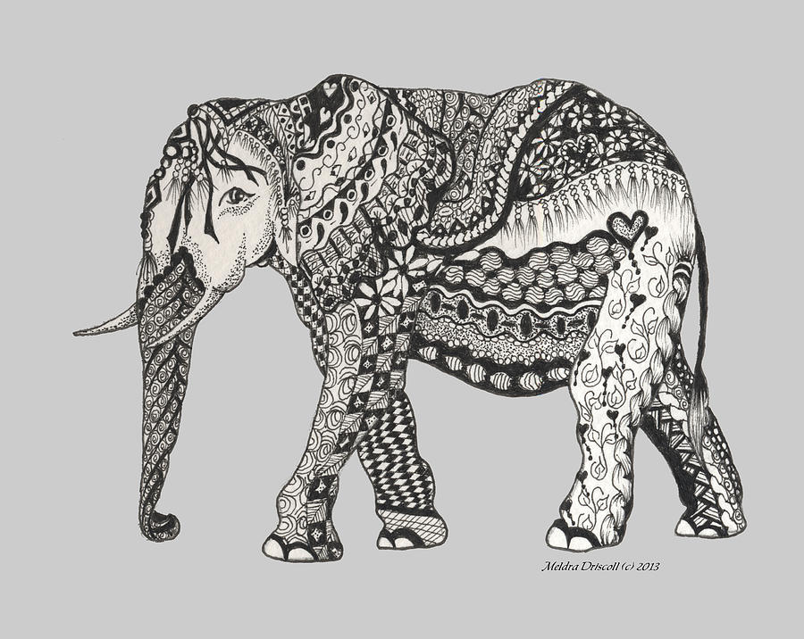900x716 The Royal Elephant Zentangled Drawing - Elephant Drawing Art
