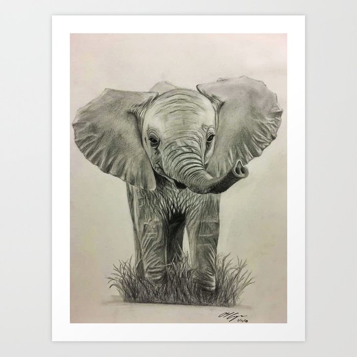 700x700 Baby Elephant Pencil Drawing Art Print - Elephant Drawing Art