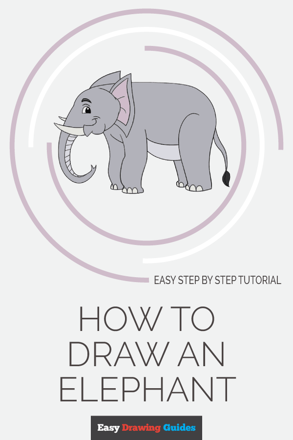 600x900 How To Draw An Elephant Easy Drawing Guides - Elephant Drawing Easy