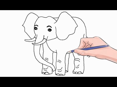 480x360 How To Draw An Elephant Easy Step - Elephant Drawing Easy