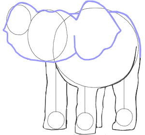 300x278 How To Draw An Elephant For Kids - Elephant Drawing For Kids