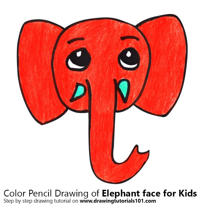 800x800 Learn How To Draw An Elephant Face For Kids - Elephant Drawing For Kids
