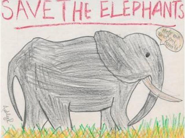 640x480 Elephant Drawing For Kids - Elephant Drawing For Kids