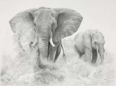 375x281 Elephants In The Dust Drawing - Elephant Drawing Images