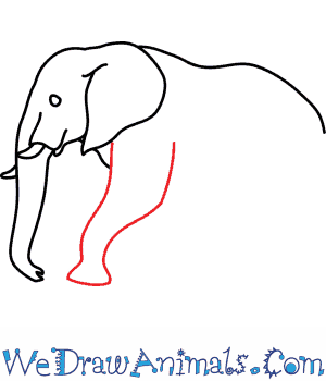 300x350 How To Draw An African Elephant - Elephant Drawing Images