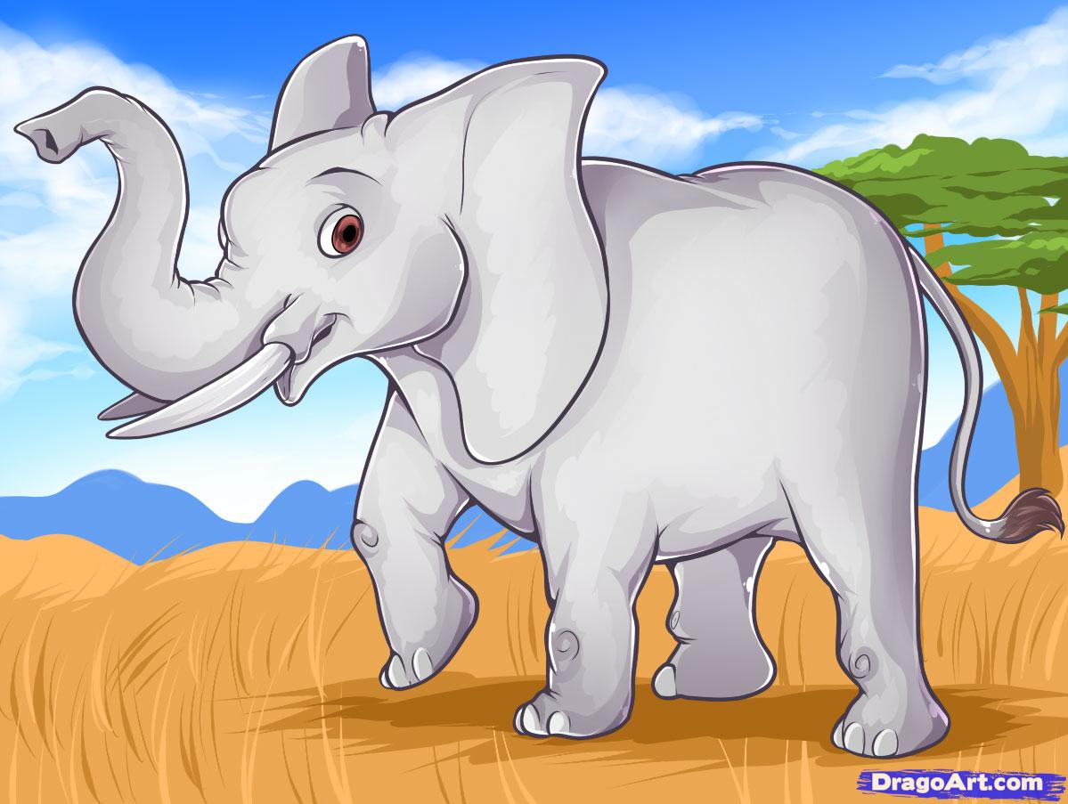 1199x903 How To Draw An Easy Elephant, Step - Elephant Drawing Images