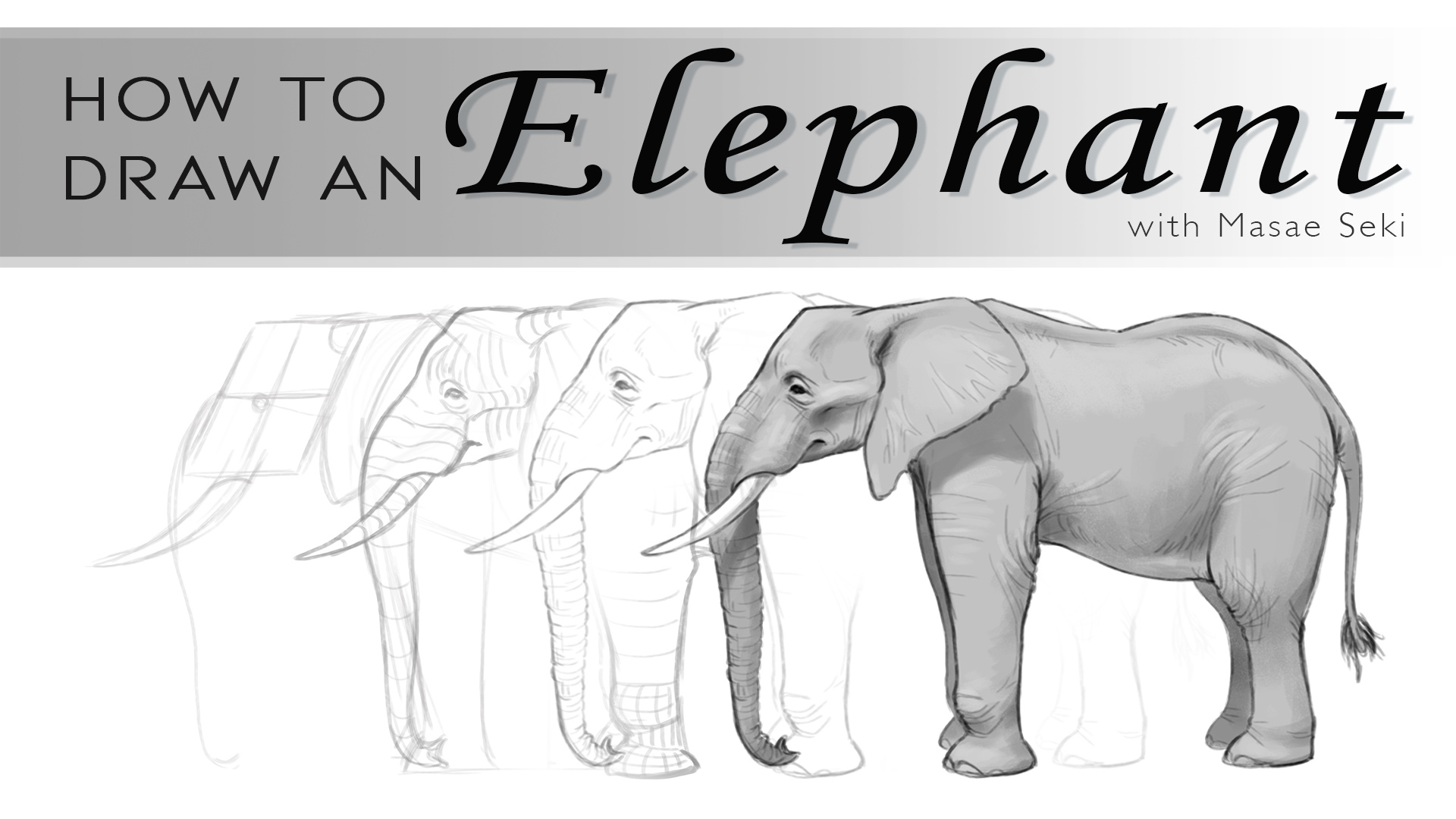 Elephant Drawing Images at PaintingValley.com | Explore collection of ...