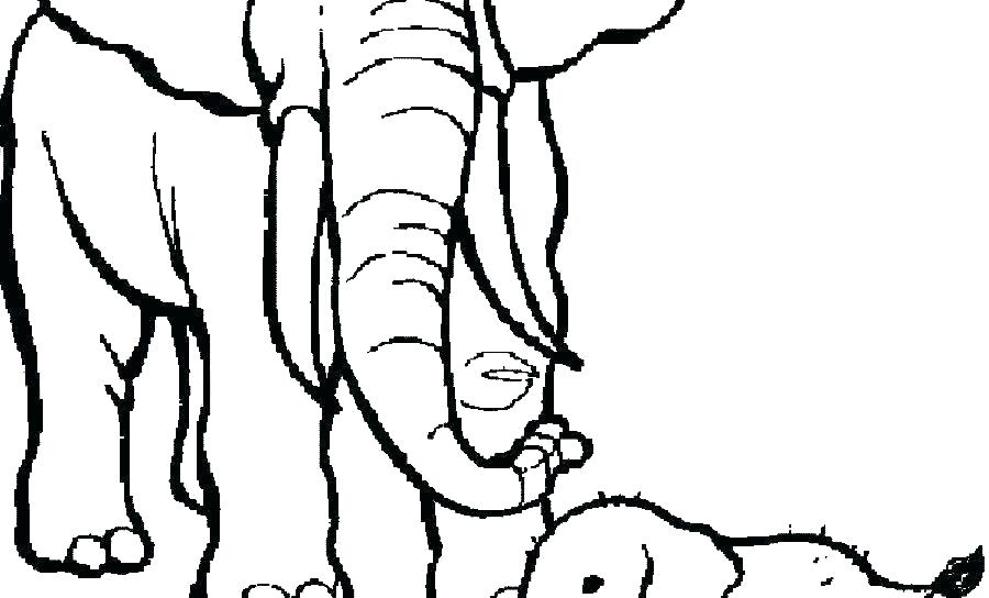 900x544 Coloring Pages Halloween Scary For Kids Disney To Print Elephant - Elephant Drawing Pages