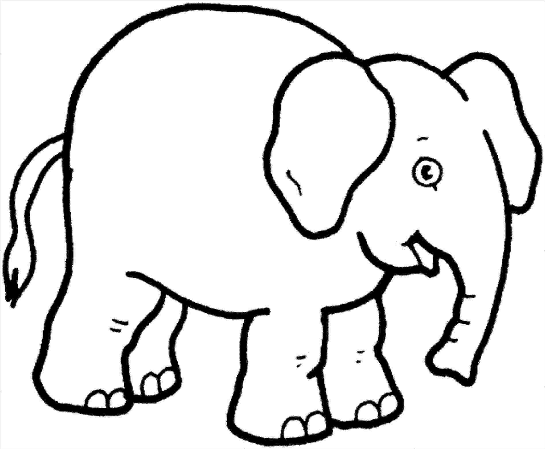 1899x1565 Elephant Drawing Color - Elephant Drawing Pages