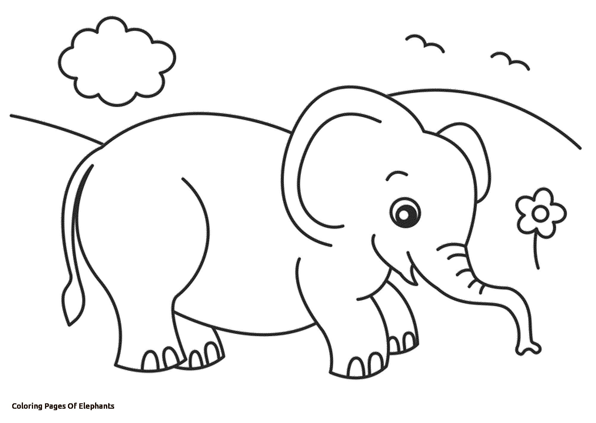 2000x1419 Elephant Drawing Tumblr Coloring Pages Elephants - Elephant Drawing Pages