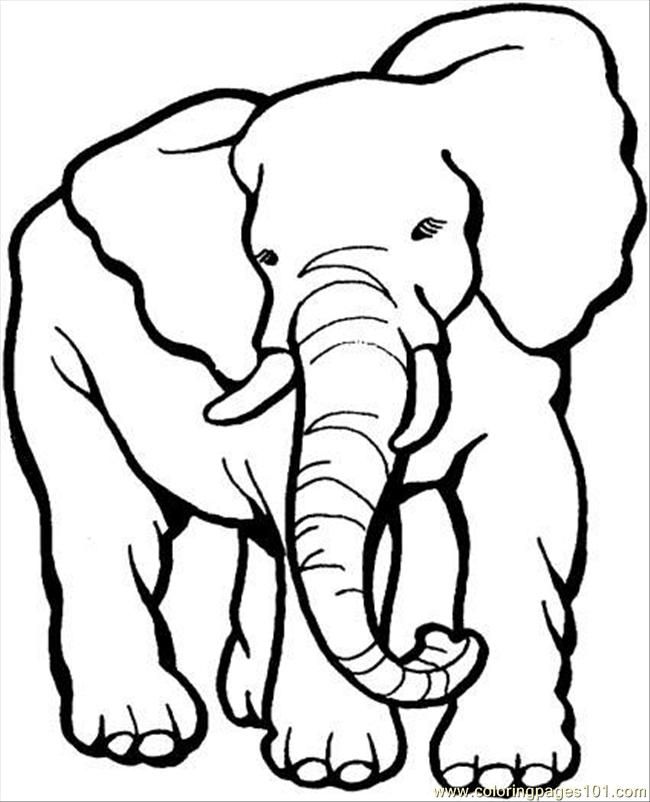 650x802 Elephant Drawing For Coloring Printable Elephant Coloring Pages - Elephant Drawing Pages