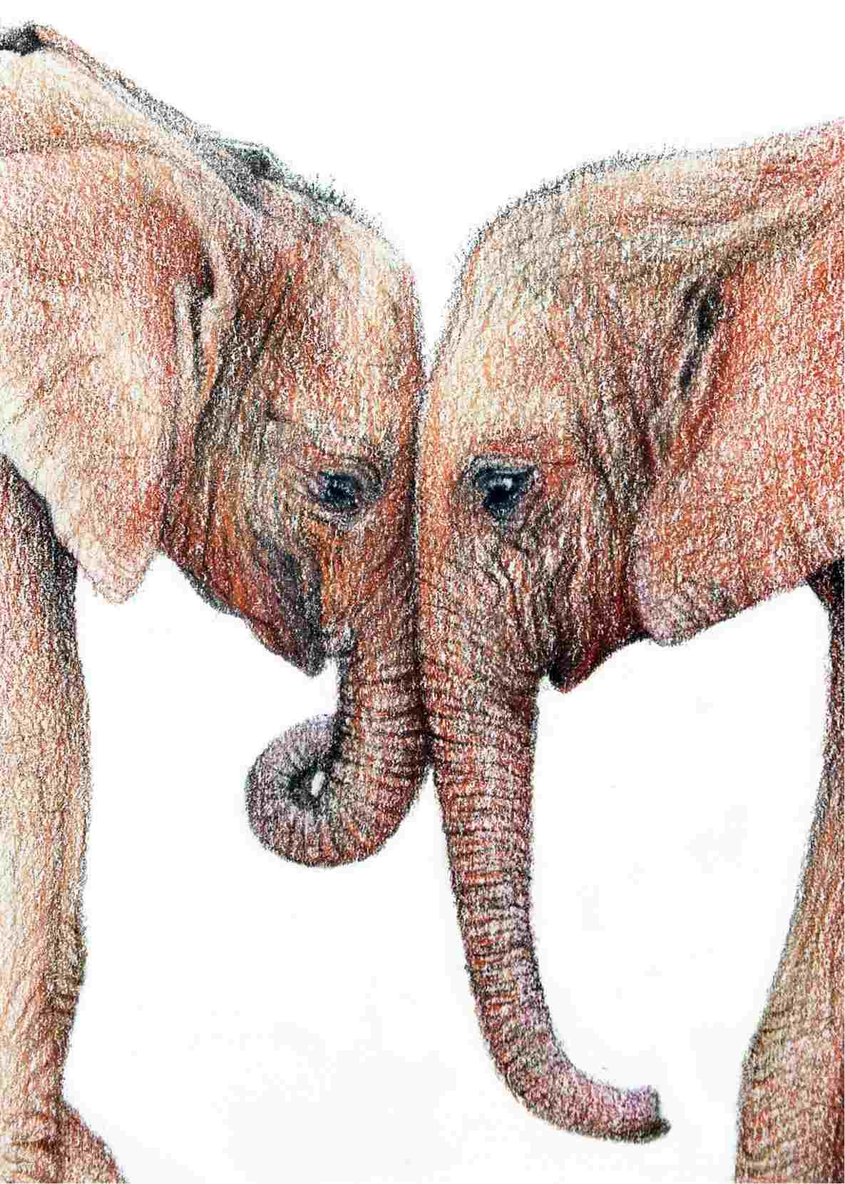1185x1659 Download On Ubisaferhubisafeorg Elephants Coloring Pages - Elephant Drawing Pages
