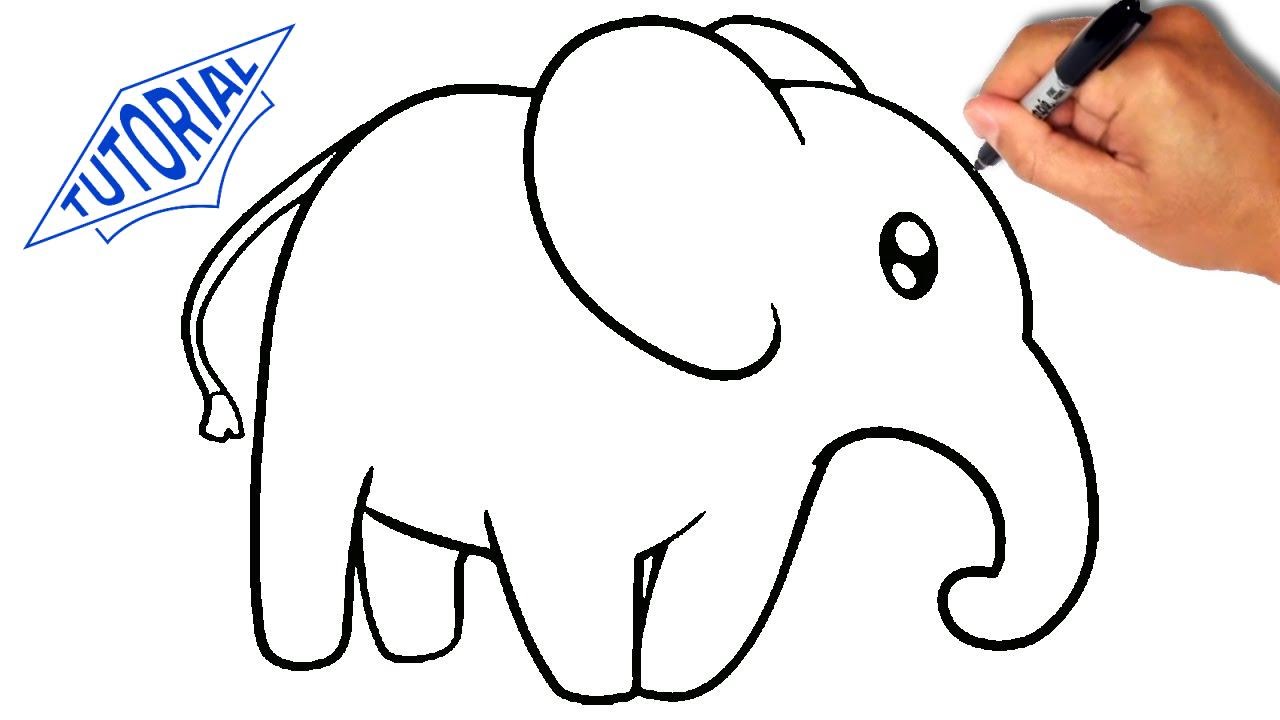 1280x720 How To Draw An Elephant For Kids - Elephant Drawing Pictures