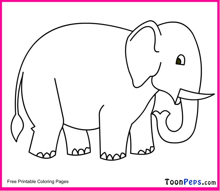 736x641 Images For Gt Drawing Of Elephant For Kids Classroom Elephants - Elephant Drawing Pictures