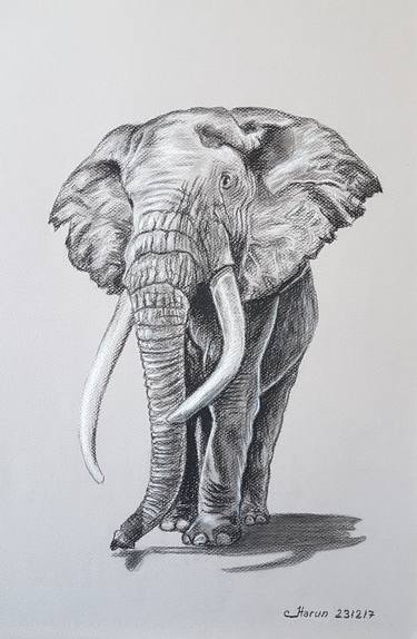 375x574 African Elephant Drawing - Elephant Drawing Pictures