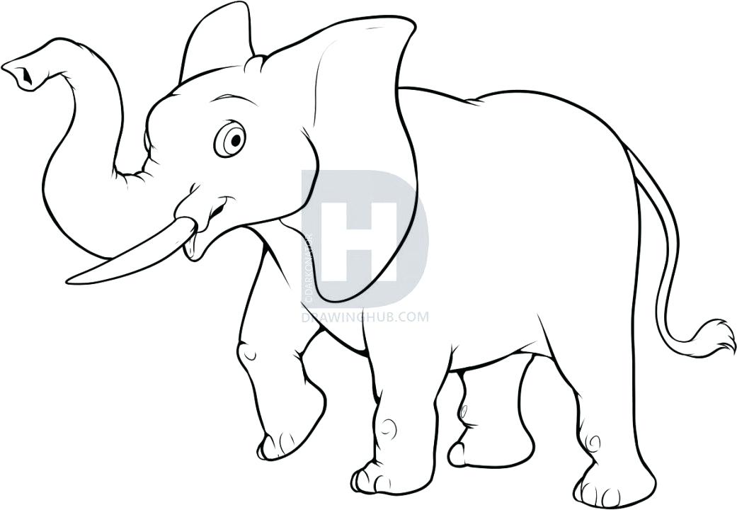 1041x720 elephant drawing image titled draw an elephant step elephant - Elephant Drawing Simple