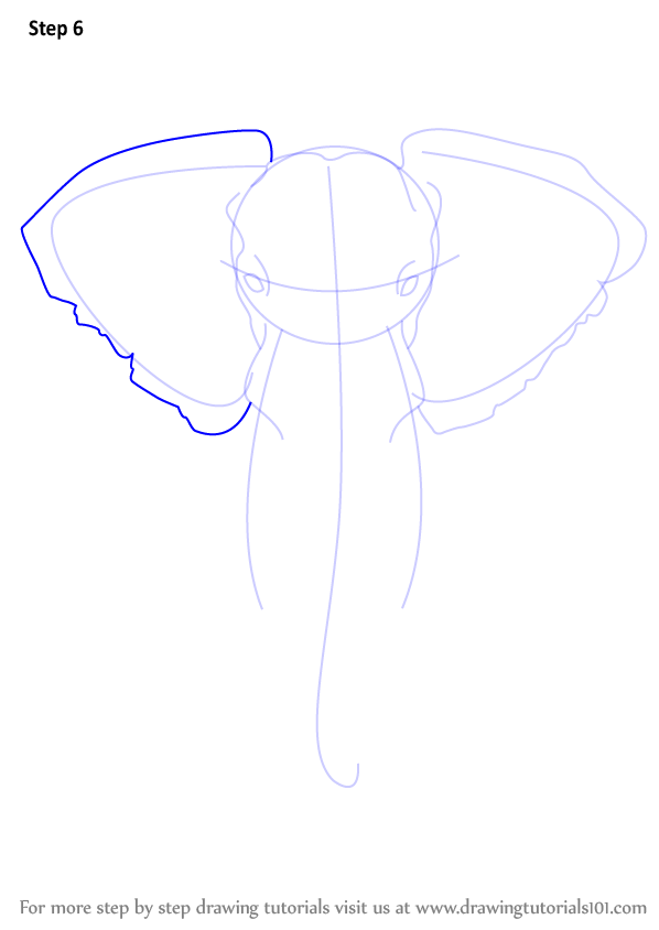 598x844 Learn How To Draw An Elephant Head - Elephant Drawing Simple