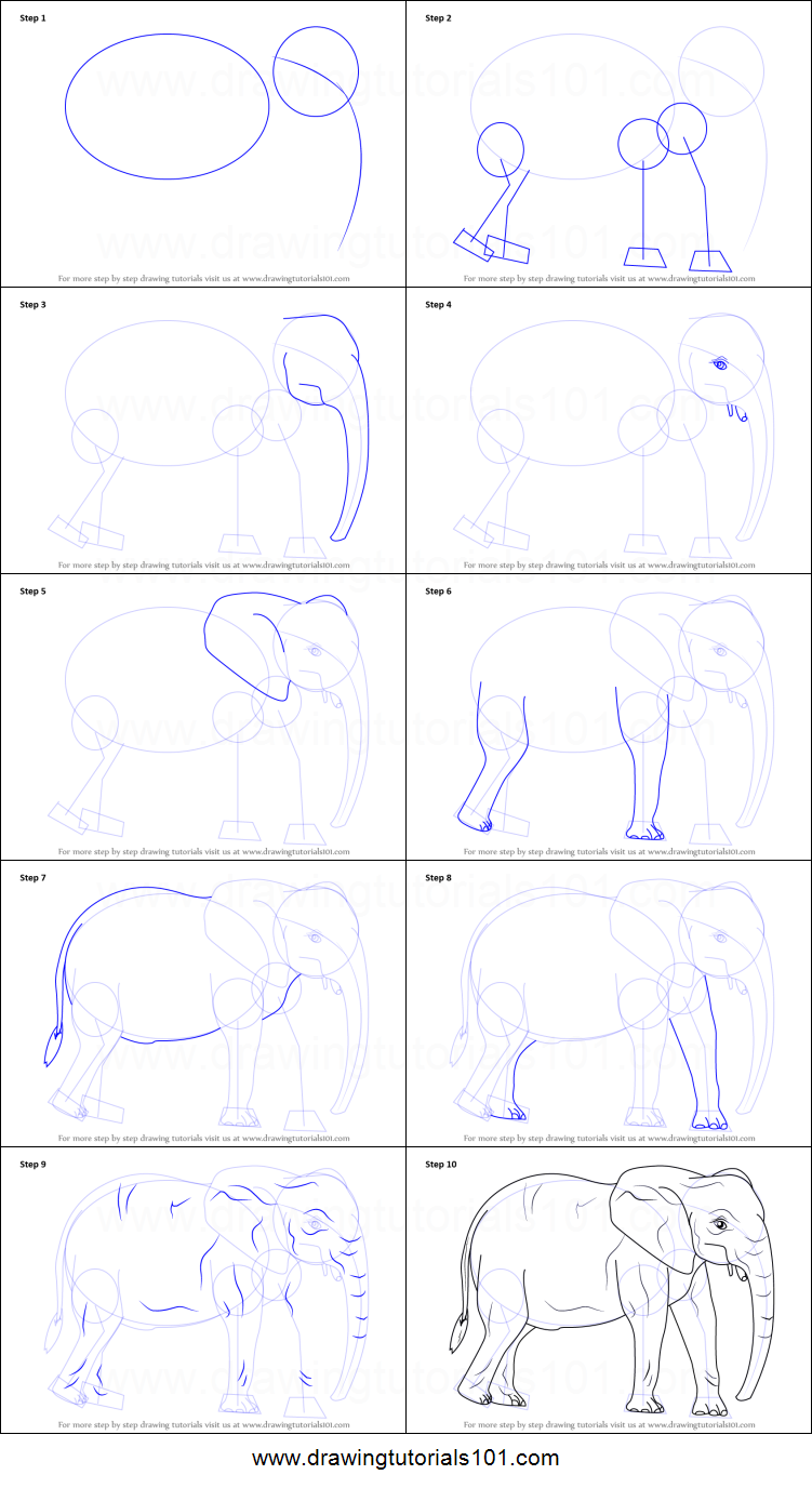 751x1376 How To Draw An African Elephant Printable Step - Elephant Drawing Step By Step