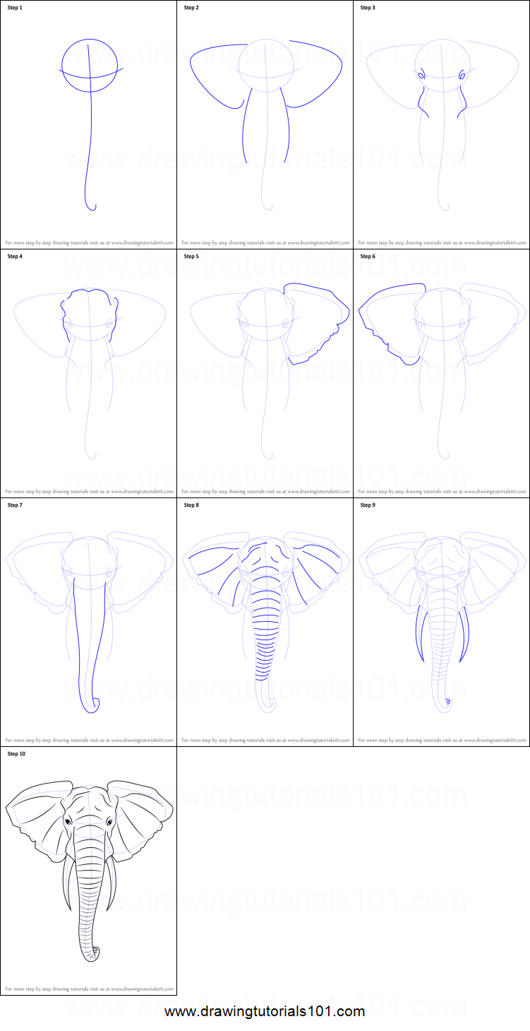 751x1459 How To Draw An Elephant Head Printable Step - Elephant Drawing Step By Step