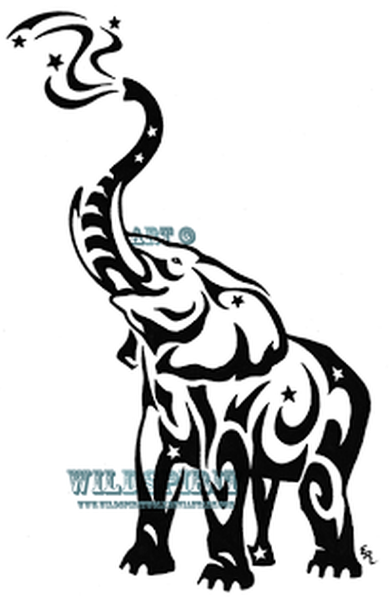 800x1249 Starry Tribal Elephant Tattoo Art - Elephant Drawing Tribal