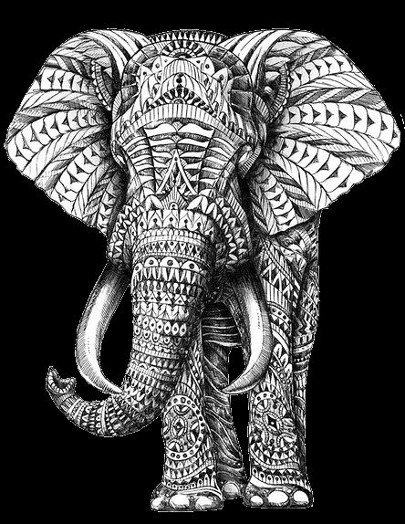 444x574 Tribal Pattern Elephant Drawing - Elephant Drawing Tribal