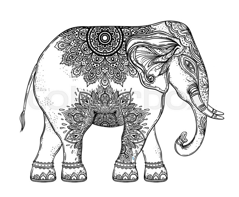 800x658 Beautiful Hand Drawn Tribal Style Stock Vector Colourbox - Elephant Drawing Tribal