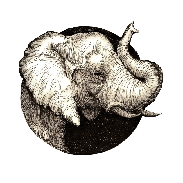 630x630 Elephant - Elephant Drawing Trunk Up