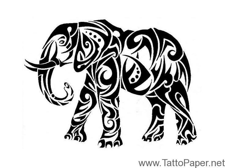 736x552 Elephant Drawing Trunk Up - Elephant Drawing Trunk Up