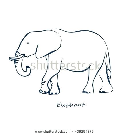 450x470 Elephant Outline Embroidery Design African Elephant Outline Drawing - Elephant Drawing Trunk Up