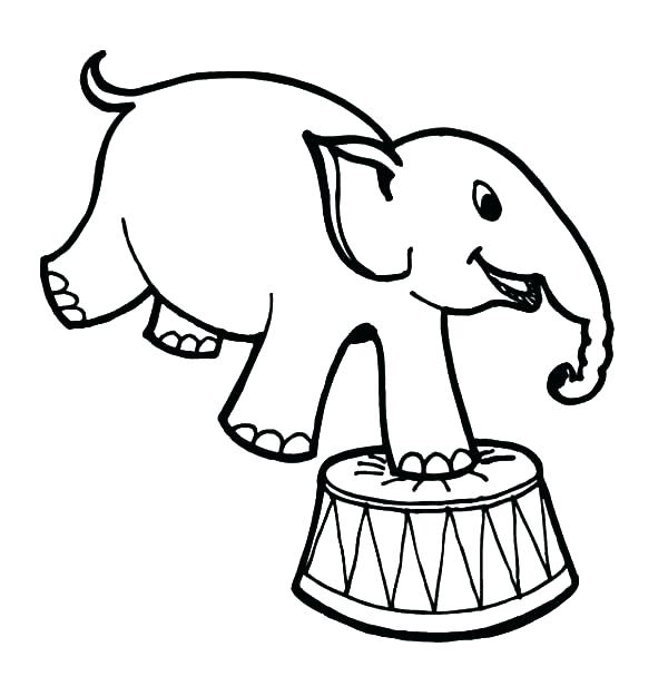 600x616 Draw Elephant How To Draw An For Kids Draw An Elephant Trunk Up - Elephant Drawing Trunk Up
