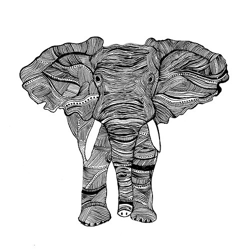 Elephant Drawing Tumblr