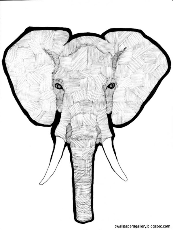 601x800 Elephant Drawing Tumblr Wallpapers Gallery - Elephant Drawing Tumblr