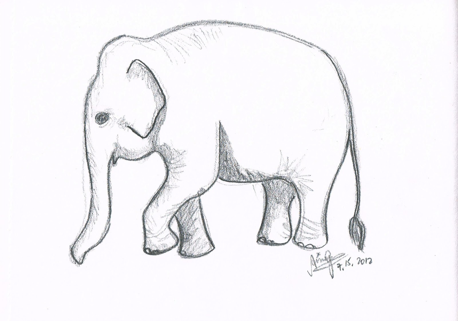 1600x1122 Elephant Tumblr Drawing - Elephant Drawing Tumblr