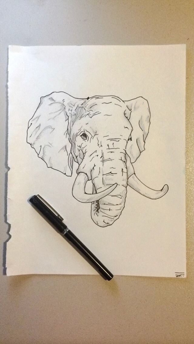 640x1136 tumblr art is my religion - Elephant Drawing Tumblr