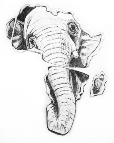 400x501 Elephant Drawing Tumblr - Elephant Drawing Tumblr