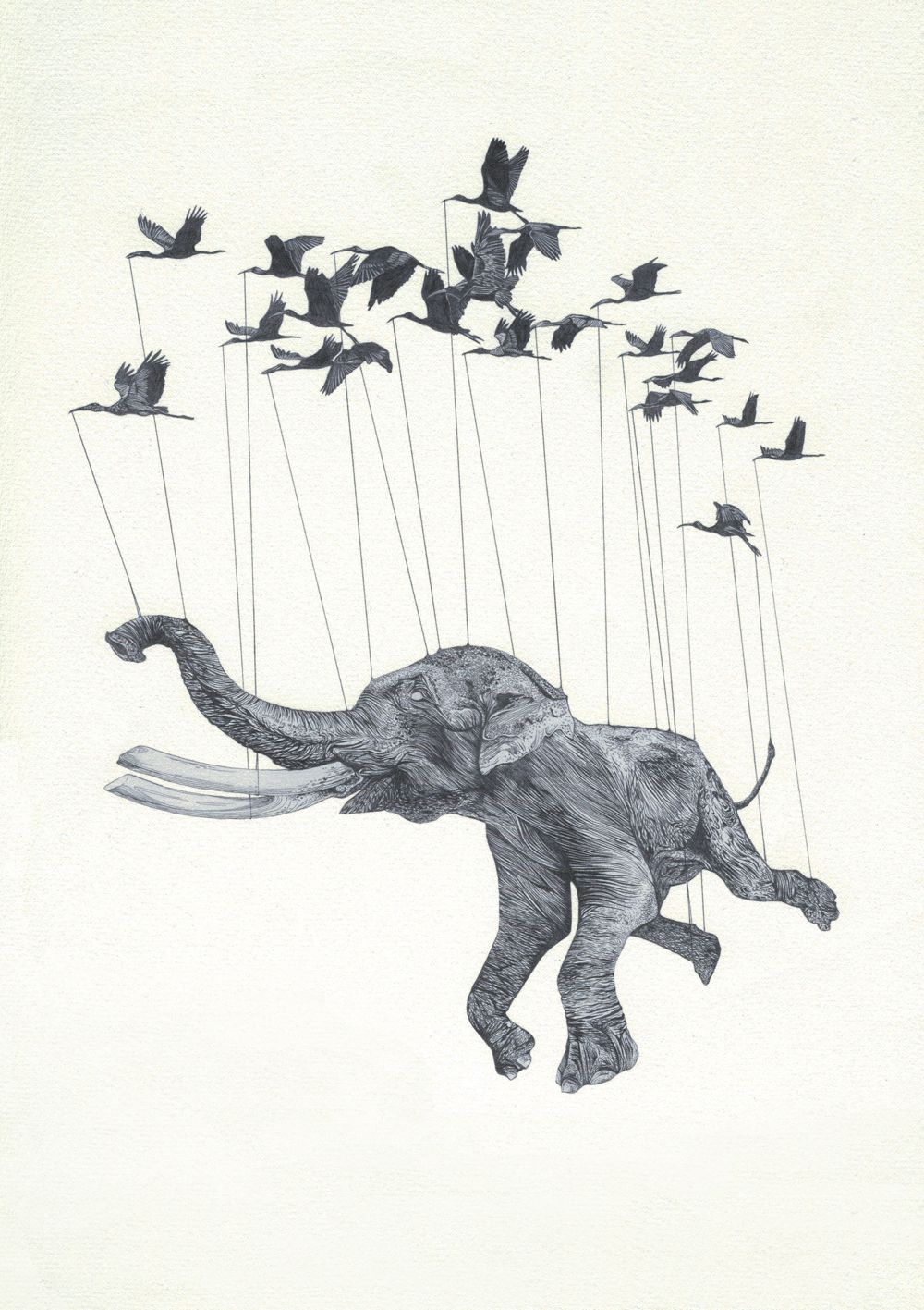 1000x1417 Cute Drawings Tumblr Displaying Images - Elephant Drawing Tumblr