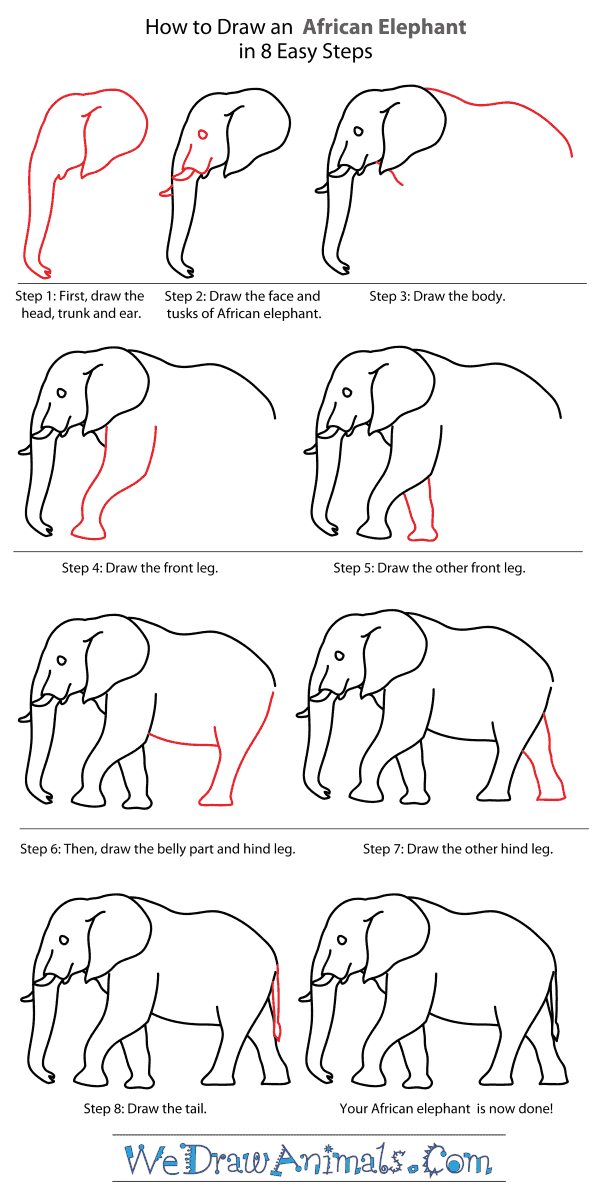 600x1200 How To Draw An African Elephant - Elephant Drawing Tutorial
